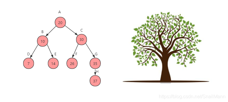 java 树形结构 (Tree)